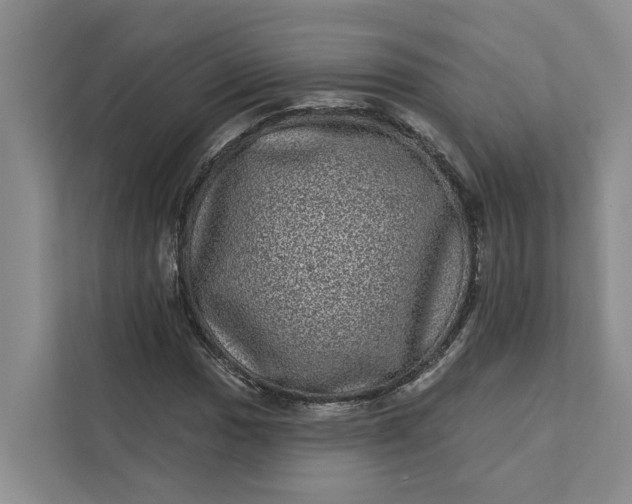 X0000111871017200908061249