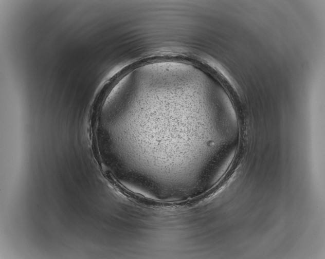 X0000111871018200908061249