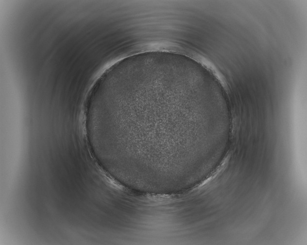 X0000111871019200908061249