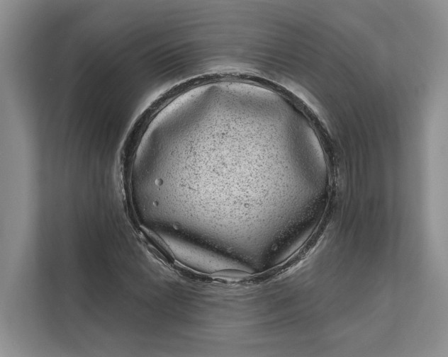 X0000111871022200908061250