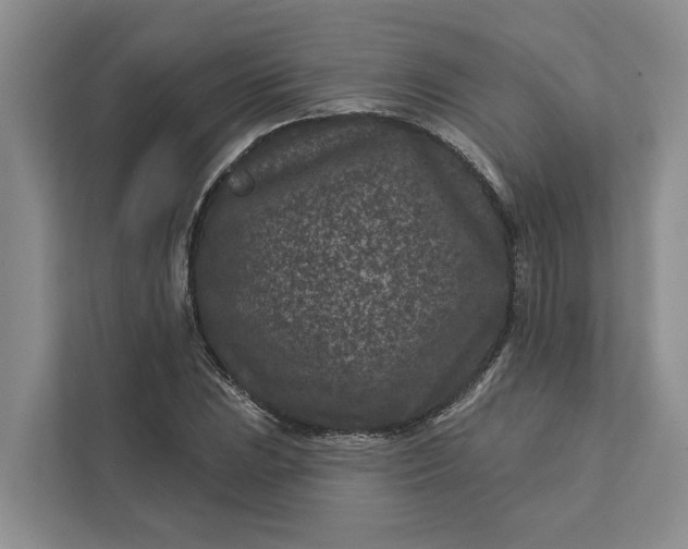 X0000111871023200908061250