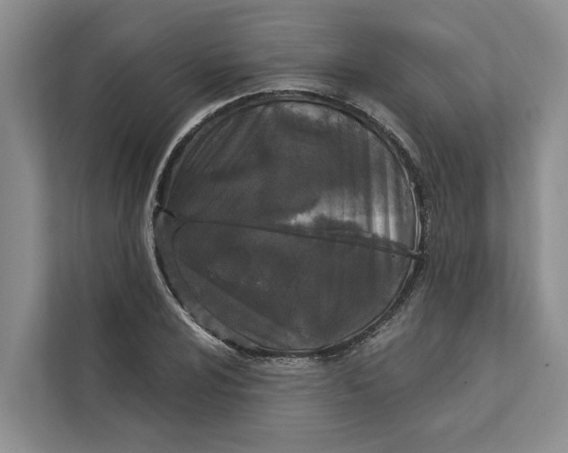 X0000111871024200908061250