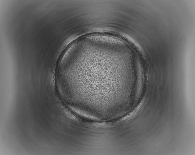 X0000111871025200908061250