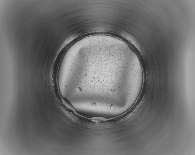 X0000111871026200908061250