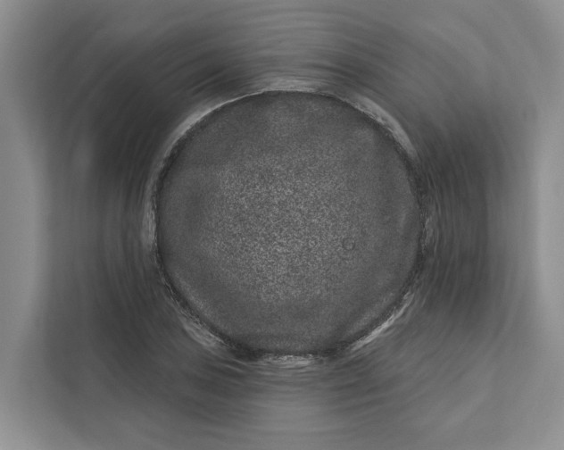 X0000111871027200908061250