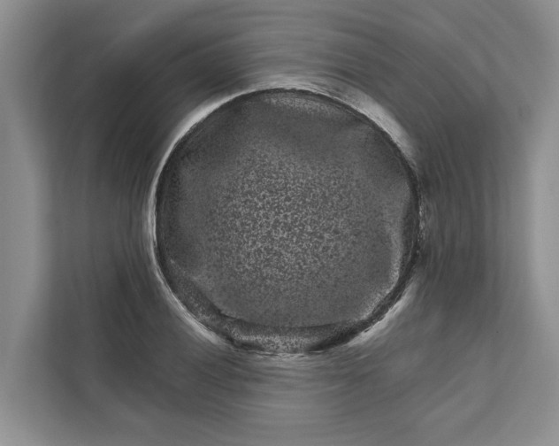 X0000111871028200908061250