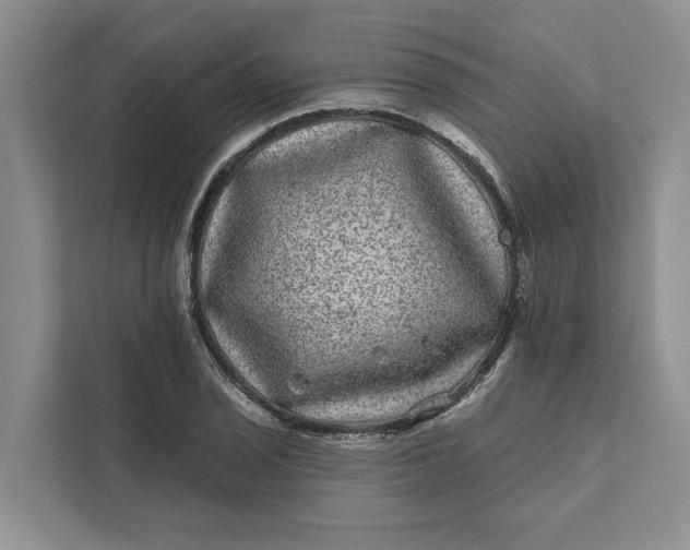 X0000111871029200908061250