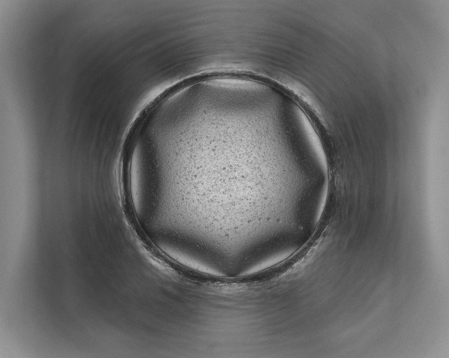 X0000111871030200908061250