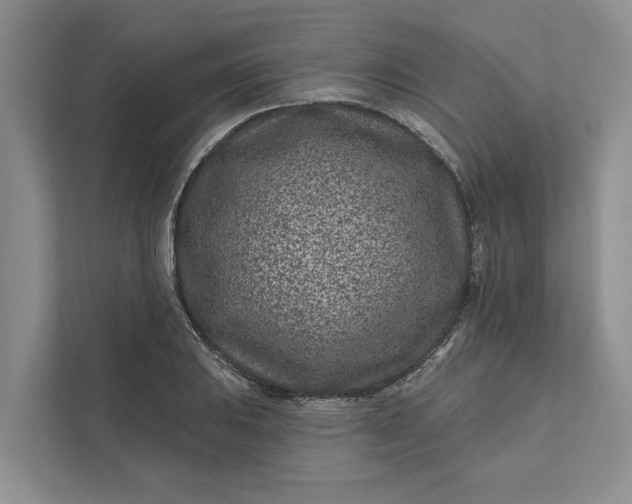 X0000111871031200908061250