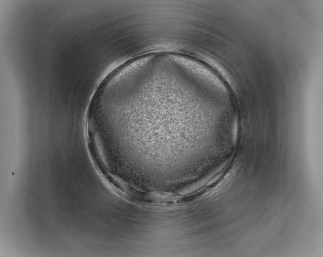 X0000111871034200908061250