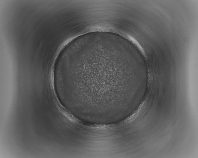 X0000111871035200908061250