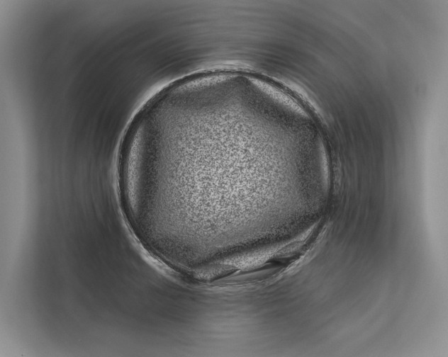 X0000111871038200908061250