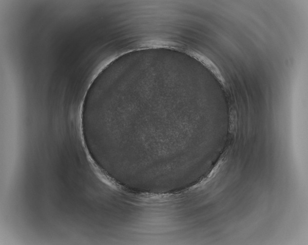 X0000111871039200908061250