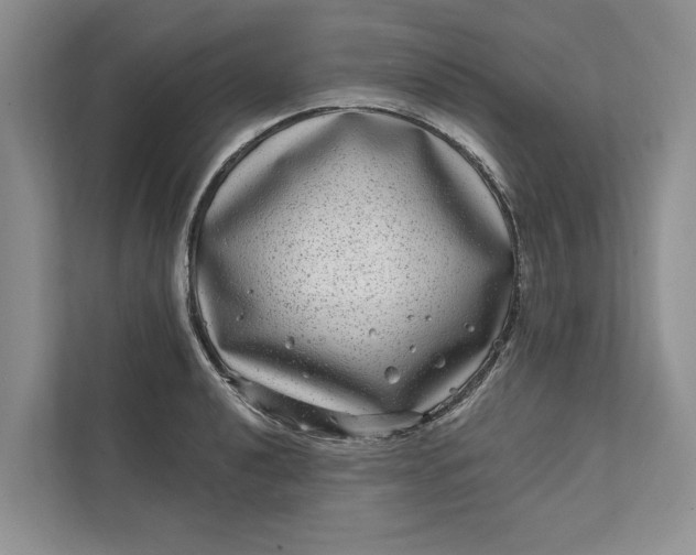 X0000111871040200908061250