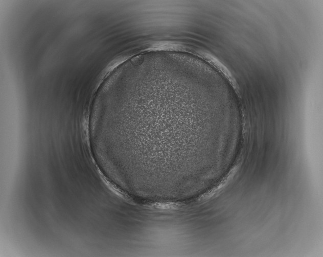 X0000111871041200908061250