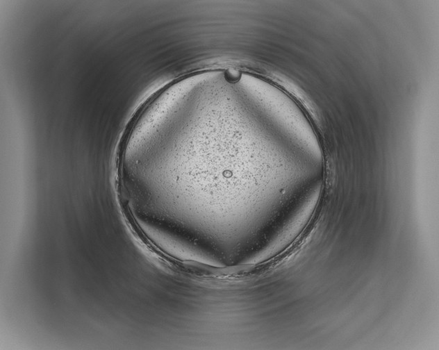 X0000111871042200908061250