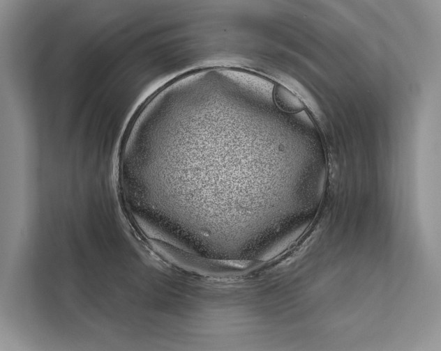 X0000111871044200908061250