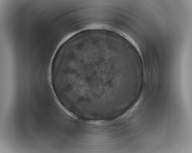 X0000111871045200908061250