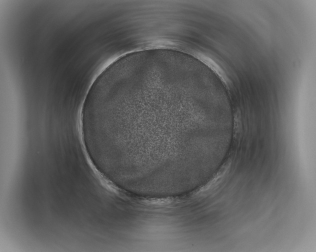 X0000111871047200908061250