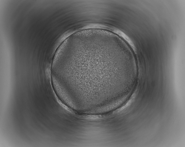 X0000111871049200908061250