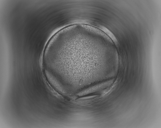 X0000111871052200908061250