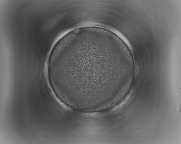 X0000111871053200908061250