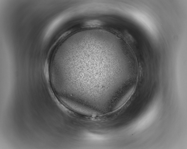 X0000111871054200908061250