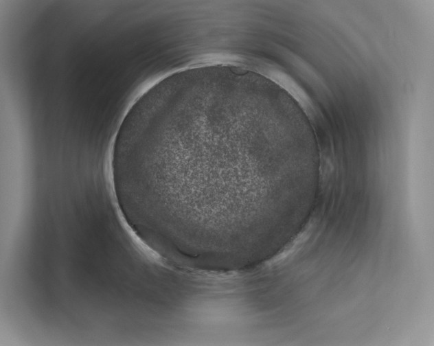 X0000111871055200908061250