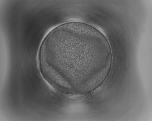 X0000111871056200908061250