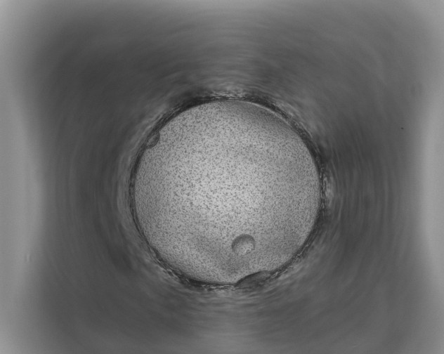 X0000111871057200908061249