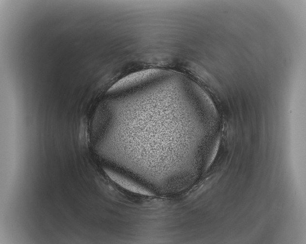 X0000111871058200908061249