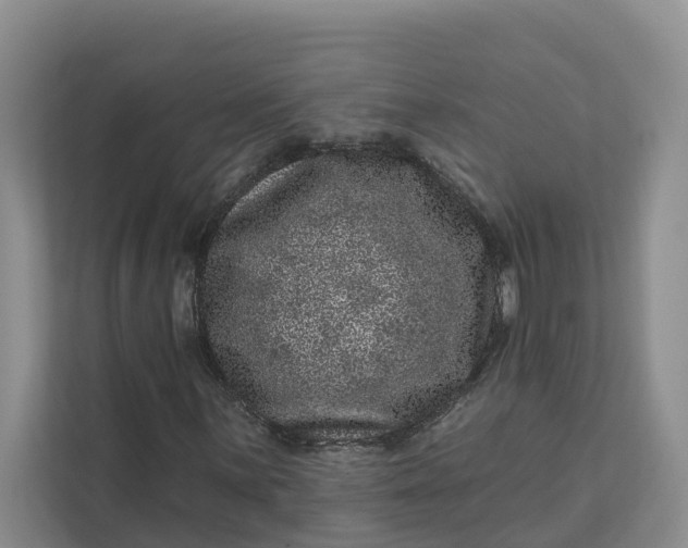 X0000111871059200908061249