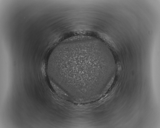 X0000111871060200908061249