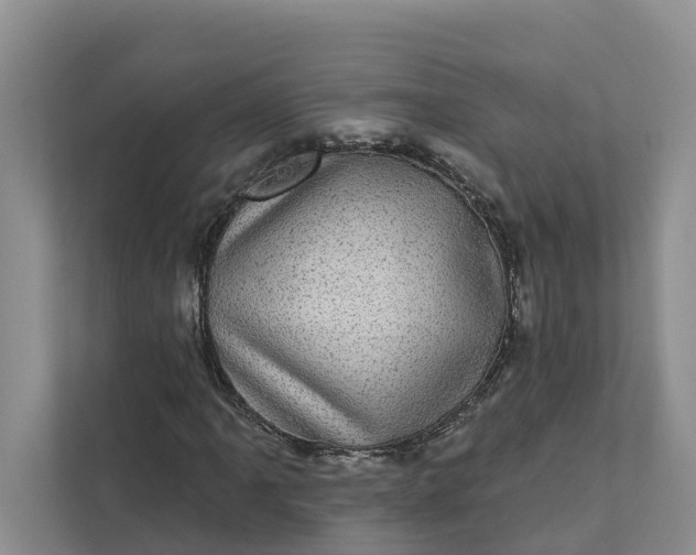 X0000111871061200908061249