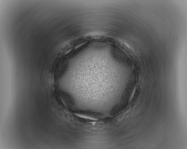 X0000111871062200908061249