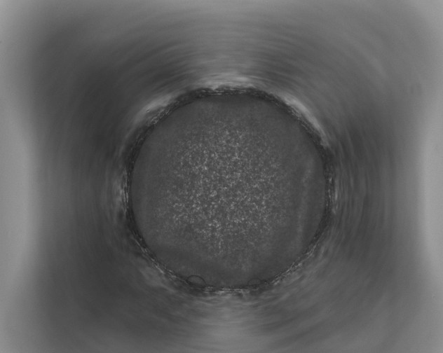 X0000111871063200908061249