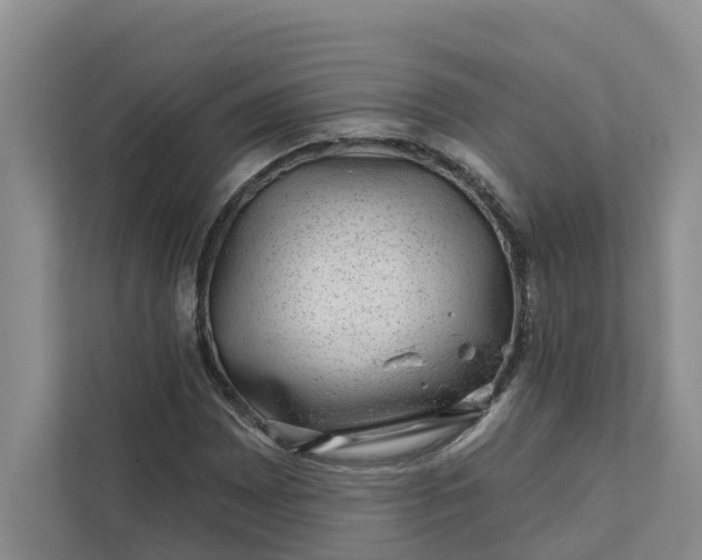 X0000111871065200908061249