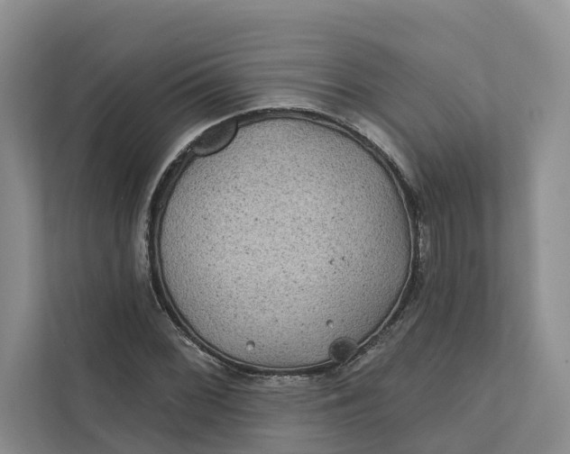 X0000111871068200908061249