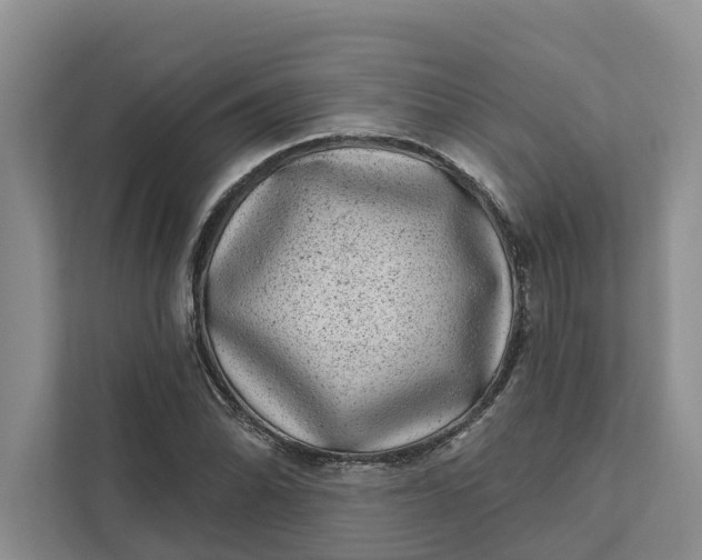 X0000111871070200908061249