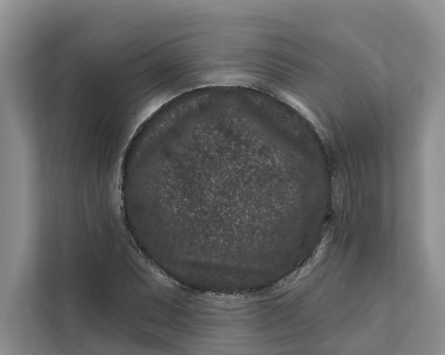 X0000111871071200908061249