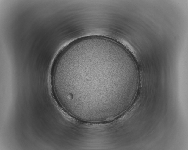 X0000111871072200908061249