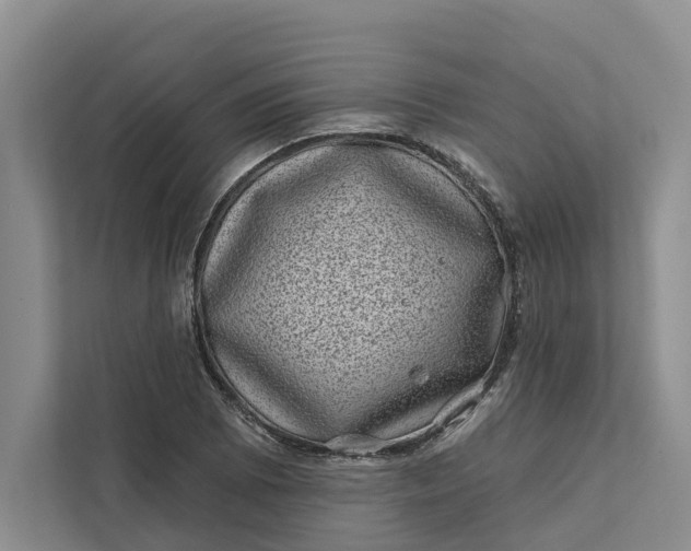 X0000111871073200908061249