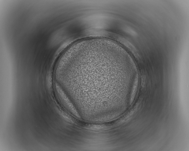 X0000111871074200908061249