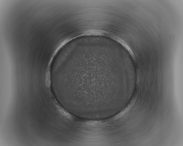 X0000111871075200908061249