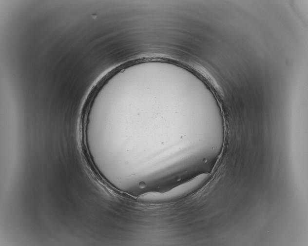 X0000111871076200908061249