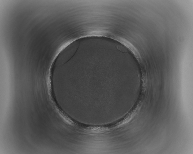 X0000111871077200908061249