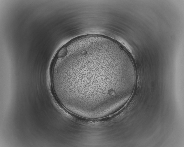 X0000111871080200908061249