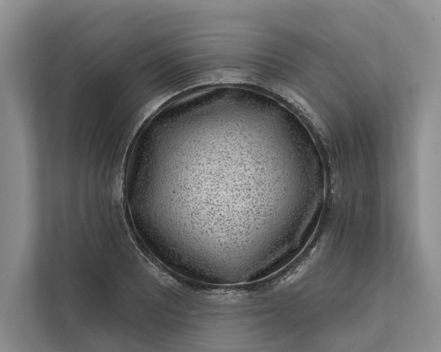 X0000111871081200908061249