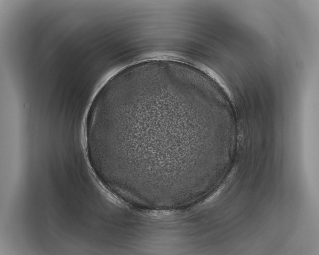 X0000111871082200908061249