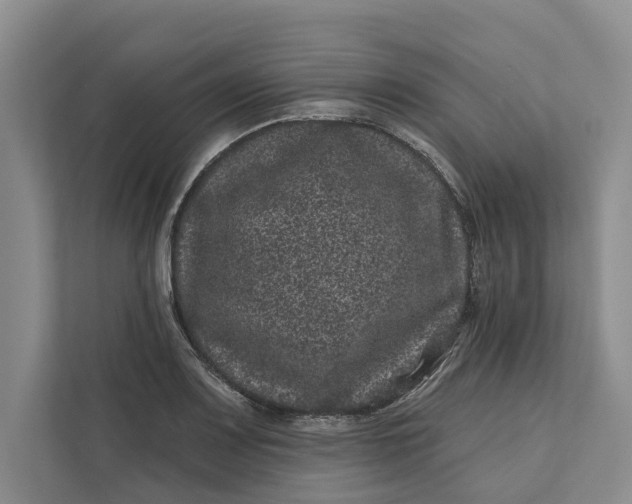 X0000111871083200908061249